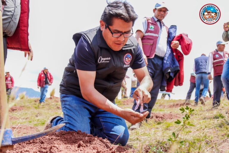 𝗠𝗔́𝗦 𝗗𝗘 𝟱 𝗠𝗜𝗟 𝗔́𝗥𝗕𝗢𝗟𝗘𝗦 𝗦𝗘𝗠𝗕𝗥𝗔𝗗𝗢𝗦 𝗘𝗡 𝗢𝗥𝗢𝗣𝗘𝗦𝗔